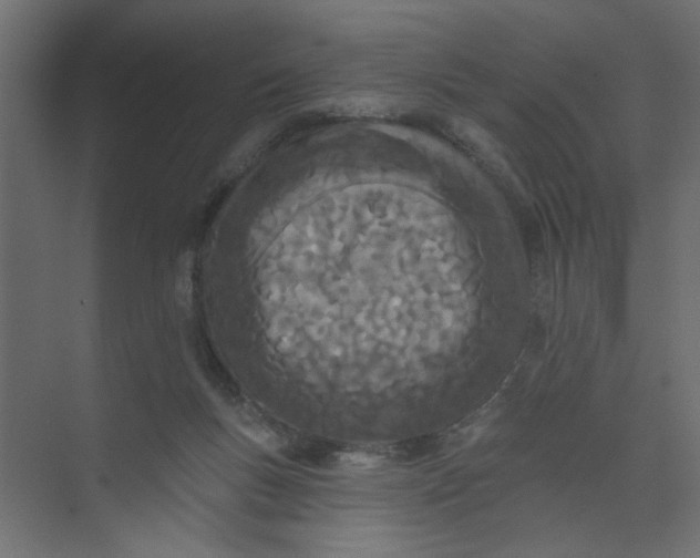 X0000073460167200608181314