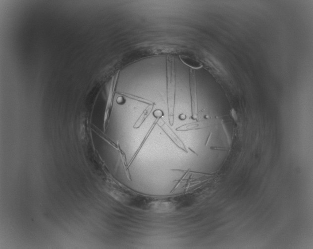 X0000073460169200608181314