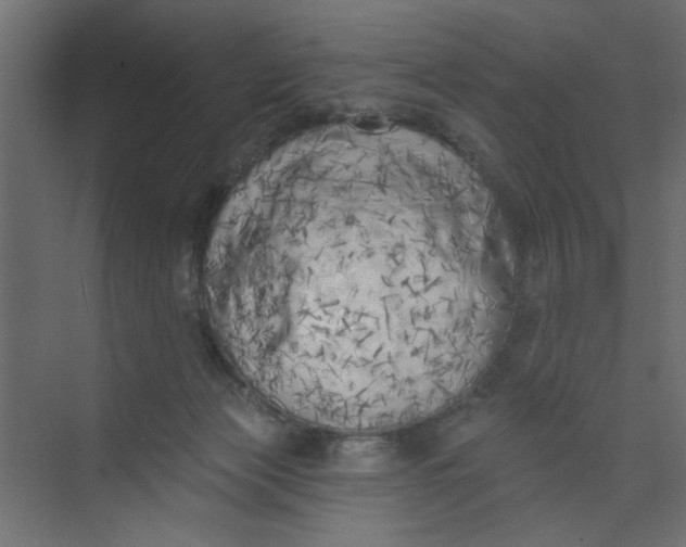 X0000073460173200608181314