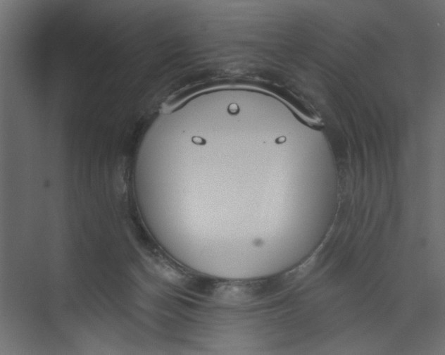 X0000073460174200608181314