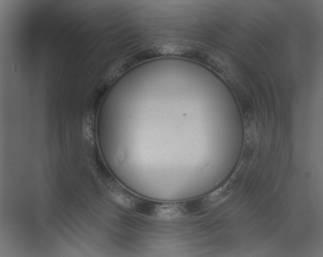 X0000073460175200608181314