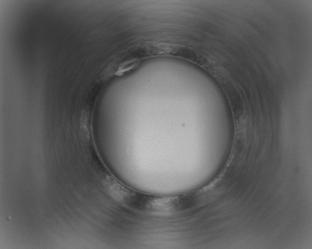 X0000073460178200608181314