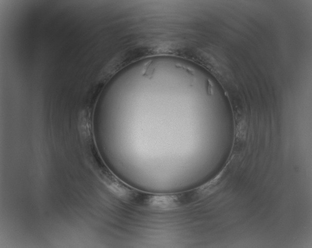 X0000073460179200608181314