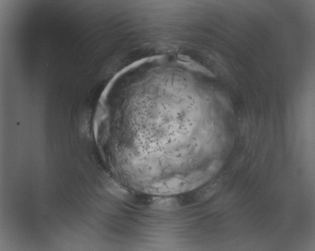 X0000073460185200608181315