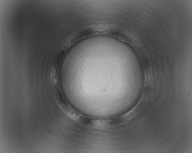 X0000073460187200608181315