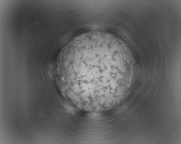 X0000073460189200608181315