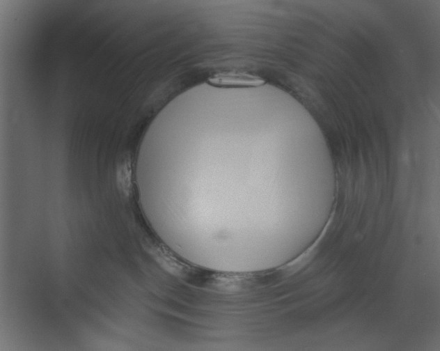 X0000073460190200608181315