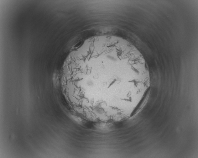 X0000073460191200608181315