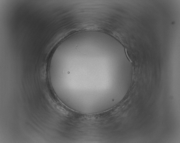 X0000073460194200608181314