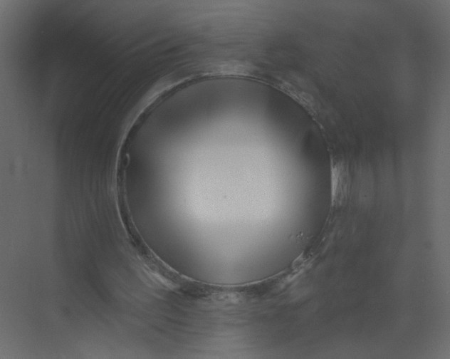 X0000073460195200608181314