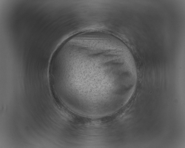 X0000073460196200608181314