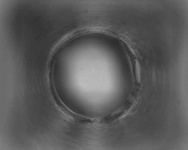 X0000073460197200608181314