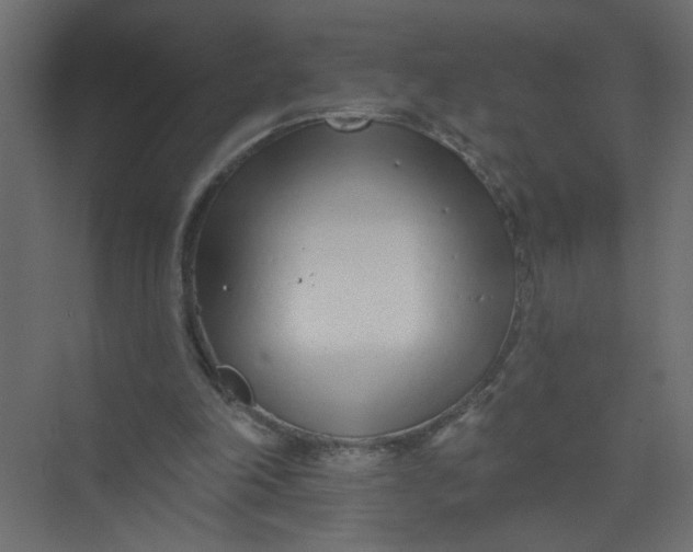 X0000073460198200608181314