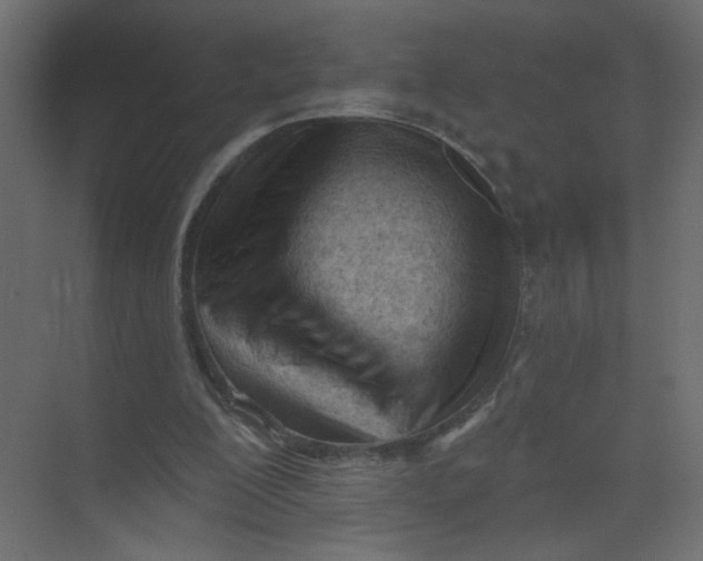 X0000073460200200608181314