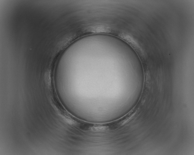 X0000073460202200608181314