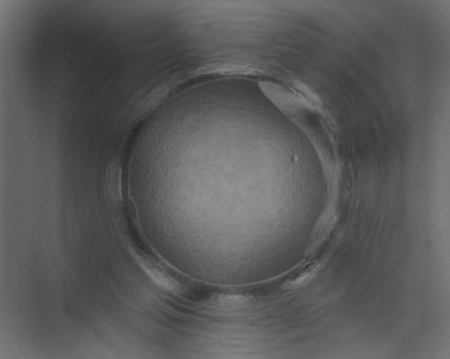 X0000073460205200608181314