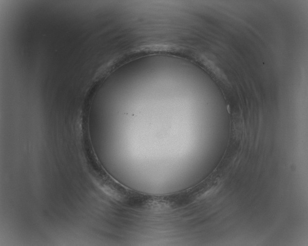 X0000073460207200608181314