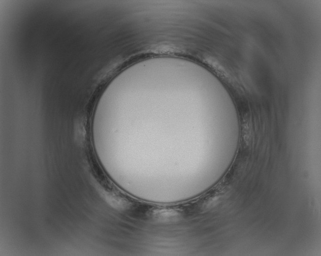 X0000073460208200608181314