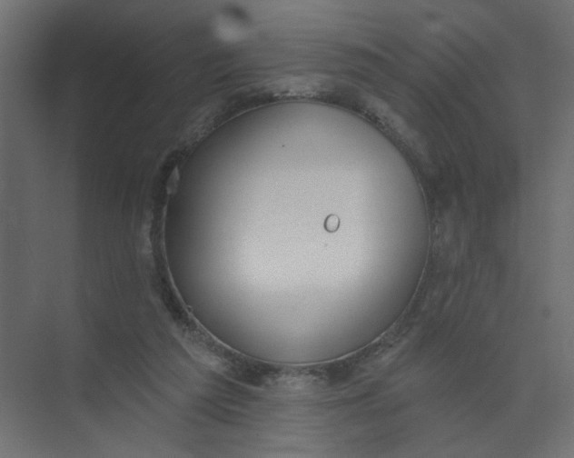 X0000073460209200608181314