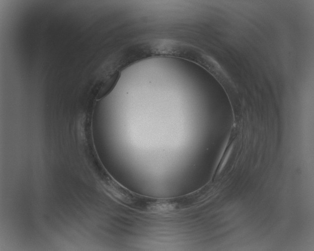 X0000073460217200608181313