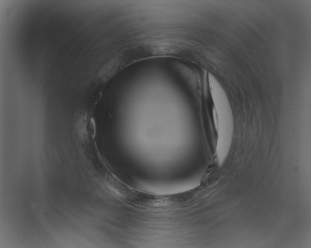 X0000073460219200608181313