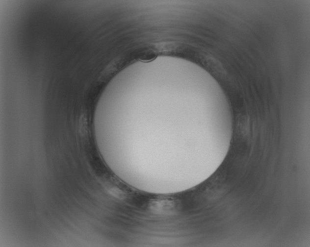 X0000073460220200608181313