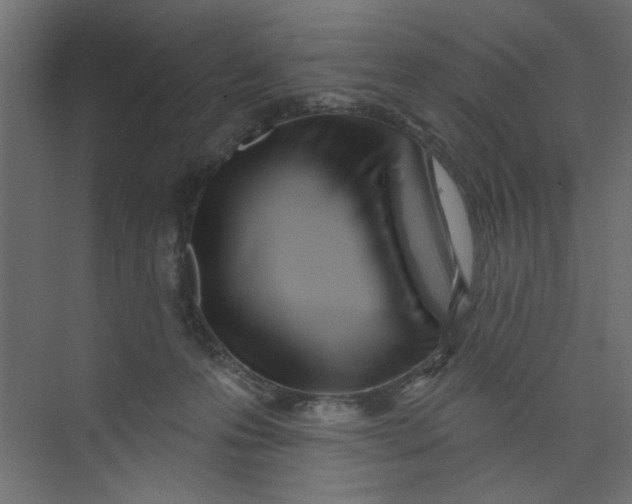 X0000073460223200608181313