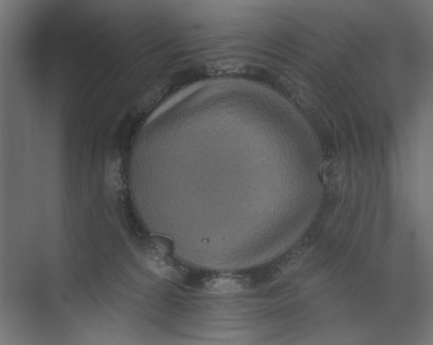 X0000073460224200608181313