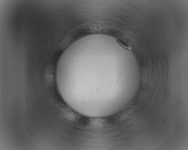 X0000073460226200608181313