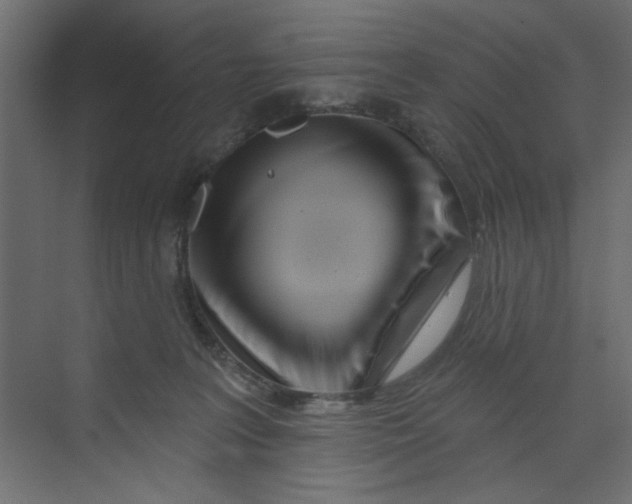 X0000073460227200608181313