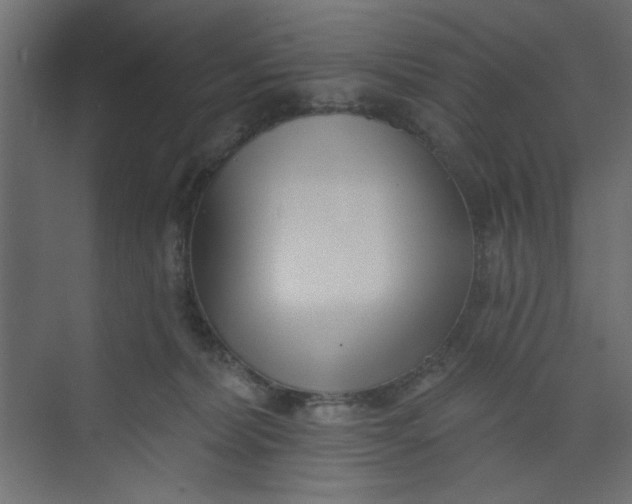 X0000073460228200608181313