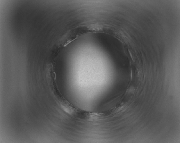 X0000073460229200608181313