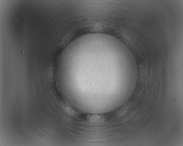 X0000073460230200608181313