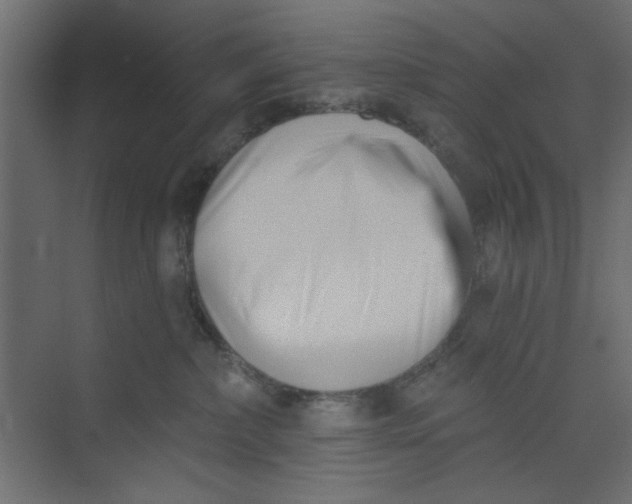 X0000073460236200608181313