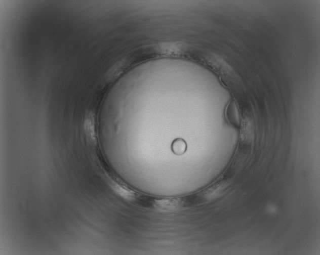 X0000073460238200608181313