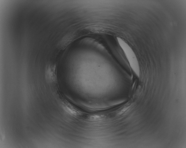 X0000073460239200608181313