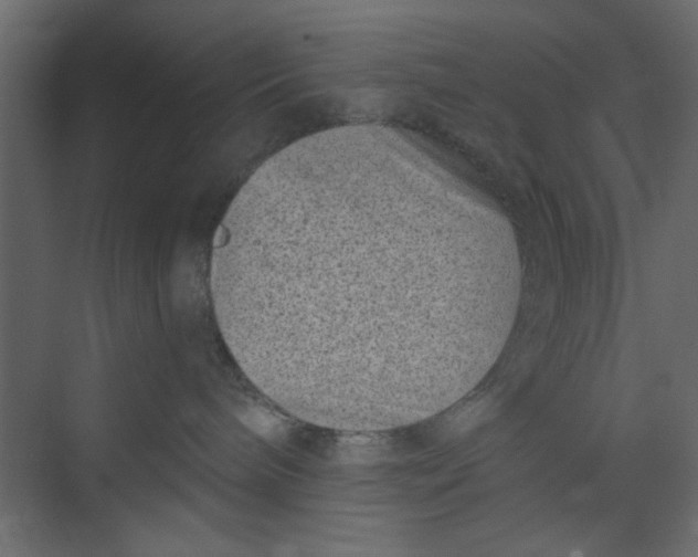 X0000073460240200608181313