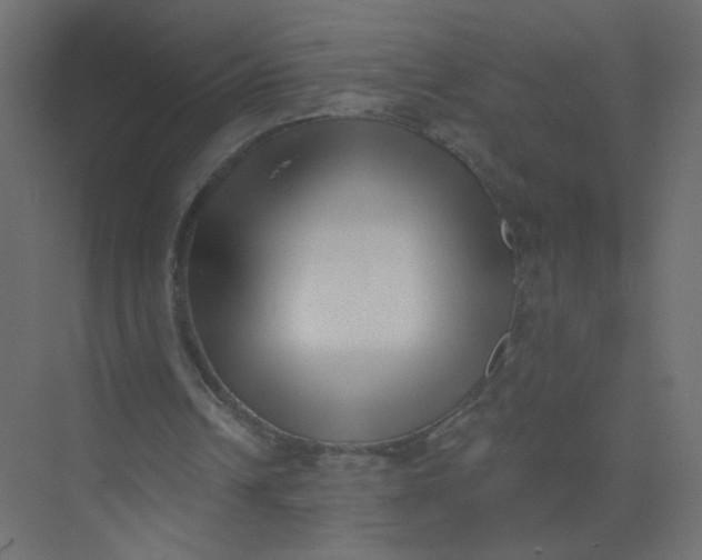 X0000073460242200608181312