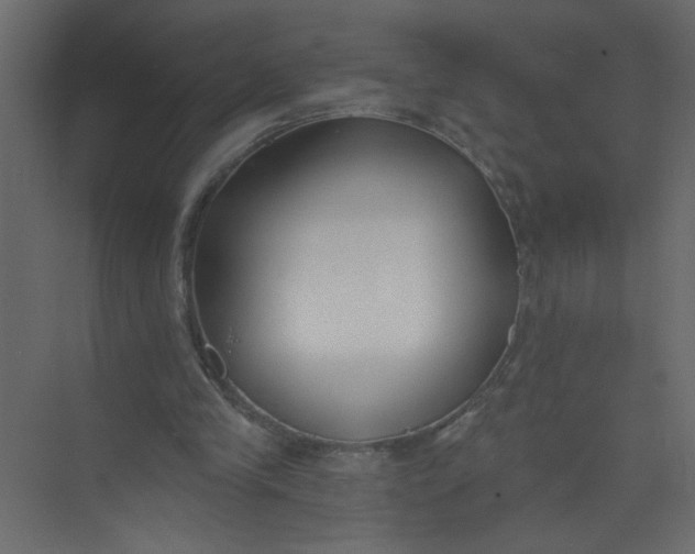 X0000073460245200608181312