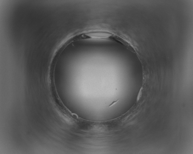 X0000073460248200608181312