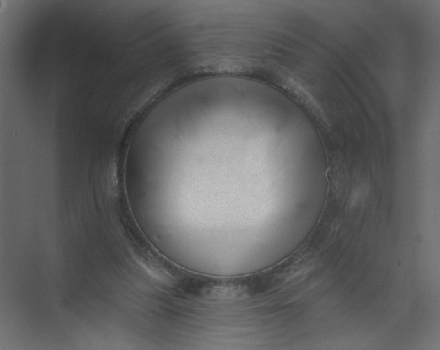 X0000073460251200608181312