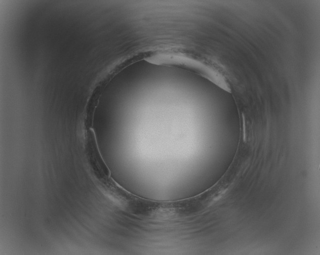 X0000073460252200608181312