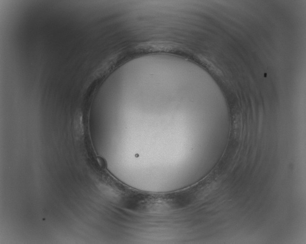 X0000073460254200608181312