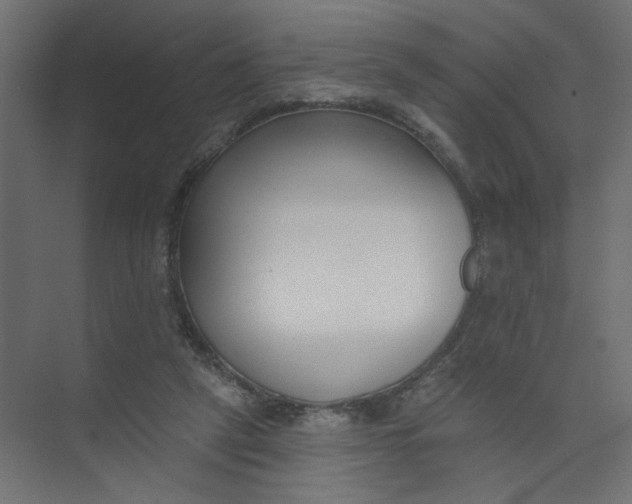 X0000073460257200608181313