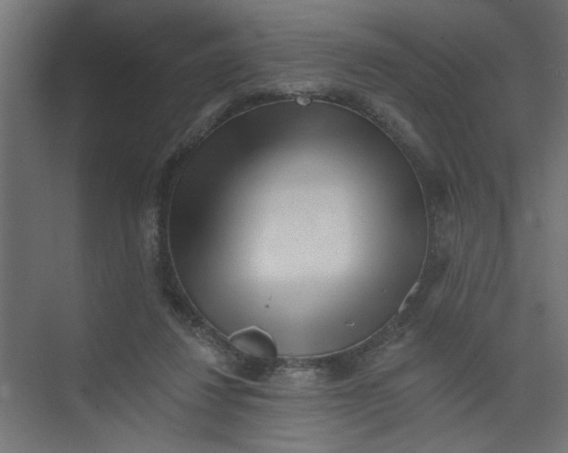 X0000073460260200608181313