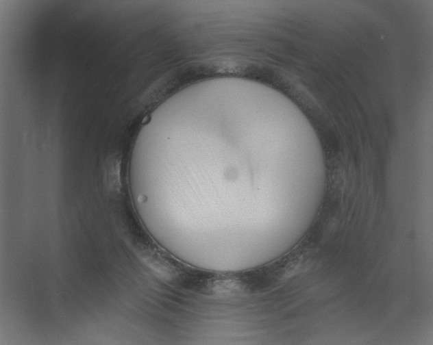 X0000073460262200608181313