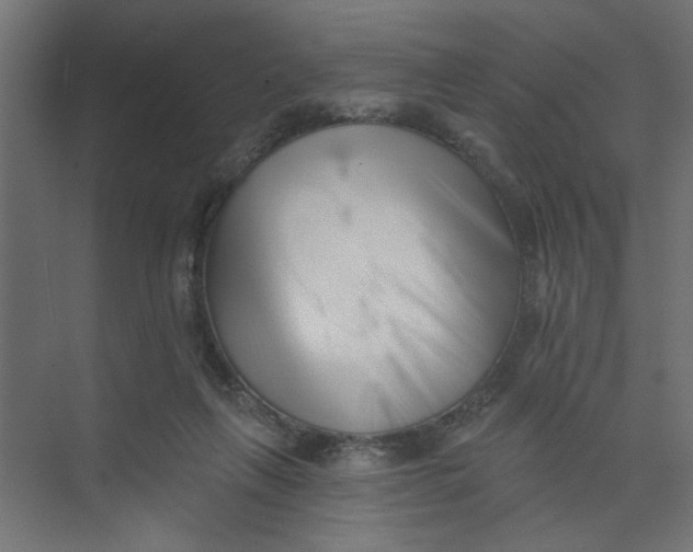 X0000073460263200608181313