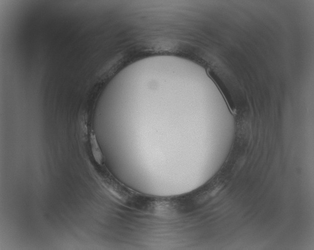 X0000073460264200608181313