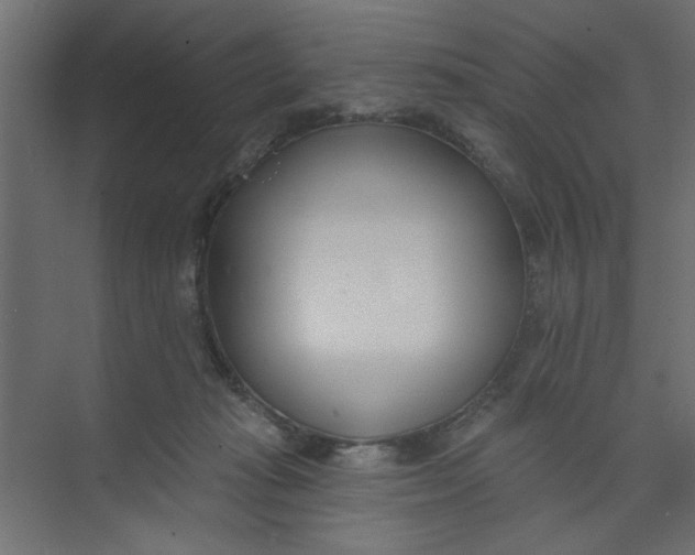 X0000073460269200608181313