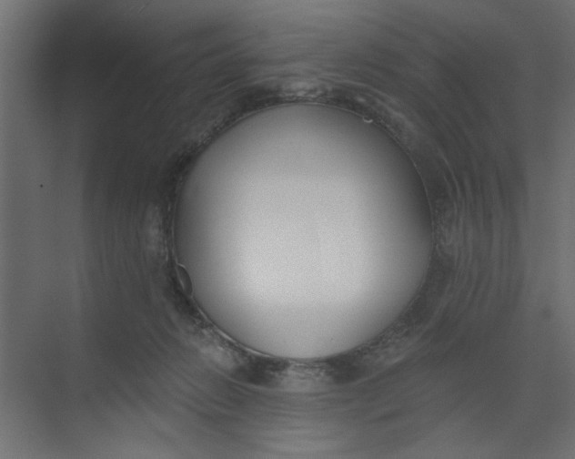 X0000073460270200608181313